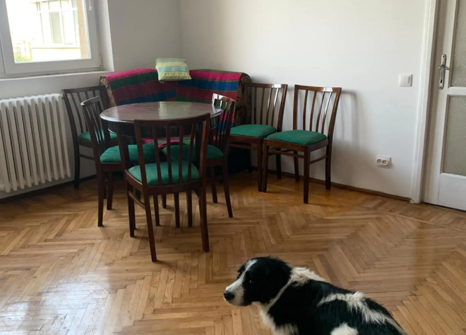 Charming Flat With Winter Garden Blending Classical Elegance And Modern Comfort Bucarest Roumanie