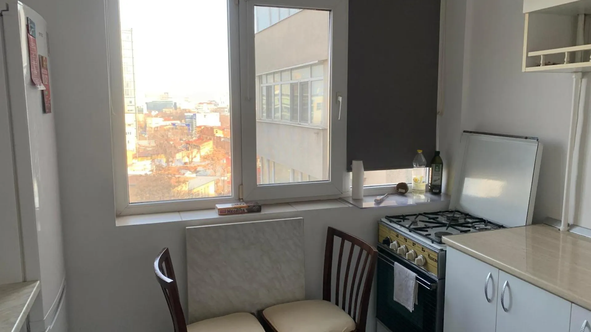 Charming Flat With Winter Garden Blending Classical Elegance And Modern Comfort 부쿠레슈티